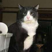 ヒメ日記 2025/01/05 18:19 投稿 ふらんそわ 完全密室 無抵抗