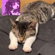 ヒメ日記 2025/01/11 23:24 投稿 ふらんそわ 完全密室 無抵抗