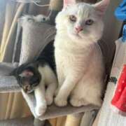 ヒメ日記 2025/01/24 14:49 投稿 ふらんそわ 完全密室 無抵抗