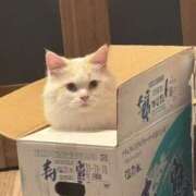 ヒメ日記 2025/11/05 00:43 投稿 ふらんそわ 完全密室 無抵抗