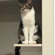 ヒメ日記 2026/03/04 20:51 投稿 ふらんそわ 完全密室 無抵抗