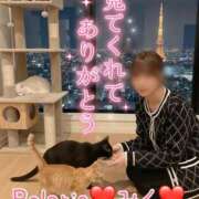 みく にゃんにゃんしよ(ฅ'ω'ฅ) Polaris（ポラリス）