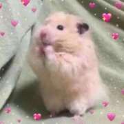 ヒメ日記 2025/11/04 21:14 投稿 ちさき キスMy