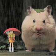 ヒメ日記 2025/11/18 22:55 投稿 ちさき キスMy