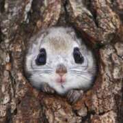 ヒメ日記 2025/12/12 23:43 投稿 ちさき キスMy