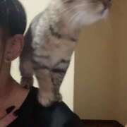 ヒメ日記 2025/01/16 11:29 投稿 ニコ バニーコレクション千葉栄町店