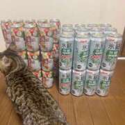 ヒメ日記 2025/02/03 08:01 投稿 ニコ バニーコレクション千葉栄町店