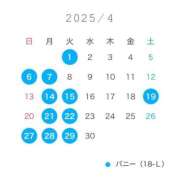 ヒメ日記 2025/03/31 12:02 投稿 ニコ バニーコレクション千葉栄町店