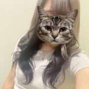 ヒメ日記 2025/07/07 22:54 投稿 ニコ バニーコレクション千葉栄町店