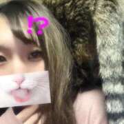 ヒメ日記 2026/02/02 08:30 投稿 ニコ バニーコレクション千葉栄町店