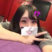 ニコ 出勤🦖🦕 バニーコレクション千葉栄町店