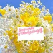 ヒメ日記 2025/10/09 07:20 投稿 いずみ♡M気強めのおっとり熟女♡ 富山インターちゃんこ