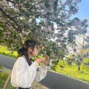 ヒメ日記 2025/03/30 22:57 投稿 ねむ【完未の大学生のほぼ処女】 STELLA TOKYO－ステラトウキョウ－