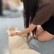 ヒメ日記 2025/09/13 02:09 投稿 ねむ【完未の大学生のほぼ処女】 STELLA TOKYO－ステラトウキョウ－