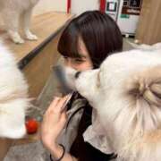 ヒメ日記 2025/10/05 00:19 投稿 ねむ【完未の大学生のほぼ処女】 STELLA TOKYO－ステラトウキョウ－