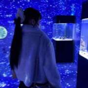 ヒメ日記 2026/02/04 14:09 投稿 ねむ【完未の大学生のほぼ処女】 STELLA TOKYO－ステラトウキョウ－