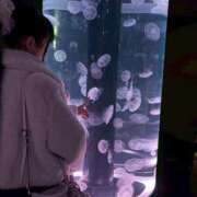 ヒメ日記 2026/02/11 17:52 投稿 ねむ【完未の大学生のほぼ処女】 STELLA TOKYO－ステラトウキョウ－