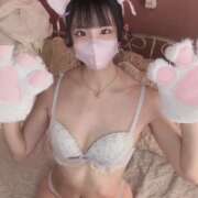 ヒメ日記 2026/03/11 13:00 投稿 ねむ【完未の大学生のほぼ処女】 STELLA TOKYO－ステラトウキョウ－