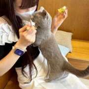 ヒメ日記 2026/04/02 16:47 投稿 ねむ【完未の大学生のほぼ処女】 STELLA TOKYO－ステラトウキョウ－