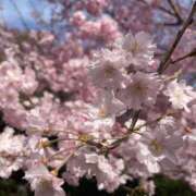 ヒメ日記 2025/04/01 18:49 投稿 あいく Versailles