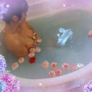 ヒメ日記 2025/03/01 19:42 投稿 陽葵(ひなた) PLUS梅田店