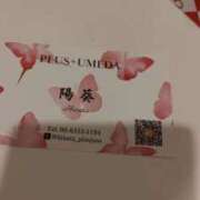 ヒメ日記 2025/08/24 10:22 投稿 陽葵(ひなた) PLUS梅田店