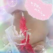 ヒメ日記 2025/04/05 12:28 投稿 麦野 あいさ 30代40代50代と遊ぶなら博多人妻専科24時