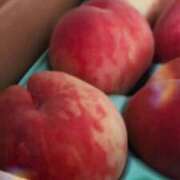 ヒメ日記 2025/08/02 16:08 投稿 もも チューリップ土浦店