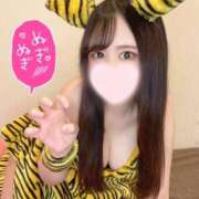 ヒメ日記 2024/12/29 06:18 投稿 もえ ワンダフル