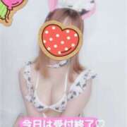 ヒメ日記 2024/12/30 02:55 投稿 いちか 宮崎SANSAIN