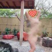 ヒメ日記 2025/02/22 18:05 投稿 いちか 宮崎SANSAIN