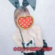 ヒメ日記 2025/06/24 12:21 投稿 いちか 宮崎SANSAIN