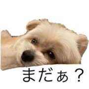 ヒメ日記 2026/02/04 22:15 投稿 いちか 宮崎SANSAIN