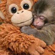 ヒメ日記 2026/03/10 03:35 投稿 いちか 宮崎SANSAIN