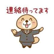 ヒメ日記 2026/03/19 23:15 投稿 いちか 宮崎SANSAIN