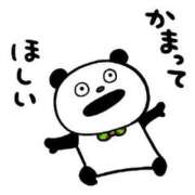 ヒメ日記 2026/04/11 00:05 投稿 いちか 宮崎SANSAIN