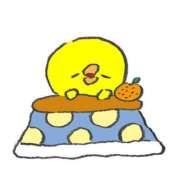 ヒメ日記 2024/12/23 19:44 投稿 すい マリン熊本本店