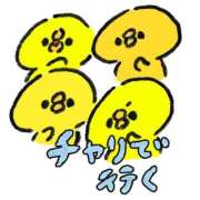 ヒメ日記 2025/03/31 07:44 投稿 すい マリンマリン