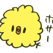 ヒメ日記 2025/06/07 13:44 投稿 すい マリンマリン