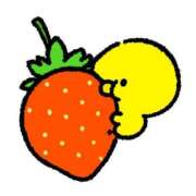 ヒメ日記 2025/06/15 06:33 投稿 すい マリンマリン