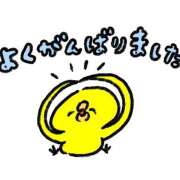 ヒメ日記 2025/08/29 08:49 投稿 すい マリンマリン