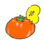 すい 良い夢を！ マリン熊本本店