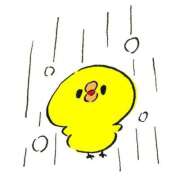 ヒメ日記 2025/12/06 18:04 投稿 すい マリン熊本本店