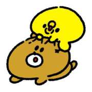 ヒメ日記 2025/12/11 08:34 投稿 すい マリン熊本本店