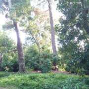 ここな 無理ゲーモードからの解放を目指して・・・💦 熟女の風俗最終章 蒲田店