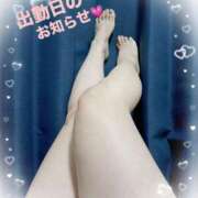 ヒメ日記 2025/06/26 11:15 投稿 かなみ 熟女家 ミナミエリア店