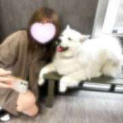 ヒメ日記 2025/10/06 12:15 投稿 なぎさ プリンセスセレクション茨木・枚方店