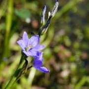 ヒメ日記 2025/10/18 22:30 投稿 ゆいか YDHやまぐちデリバリーヘルス（山口、新山口、防府、宇部）