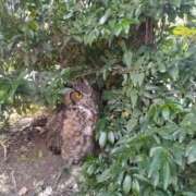 ヒメ日記 2025/11/13 22:14 投稿 ゆいか YDHやまぐちデリバリーヘルス（山口、新山口、防府、宇部）