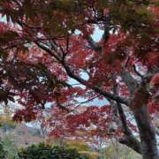 ヒメ日記 2025/11/18 08:57 投稿 めい One More奥様　厚木店